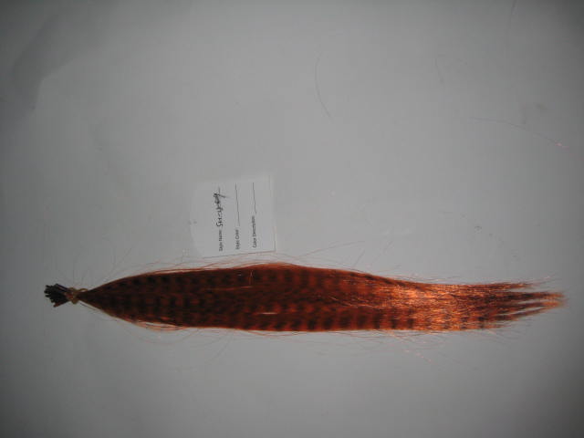 i-tip feather hair extension